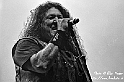 Testament