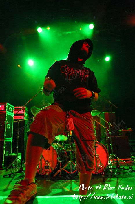 02_Ingested.jpg