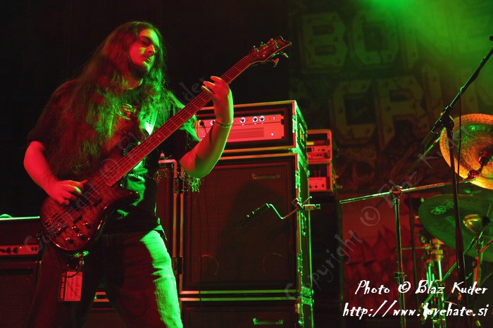 03_Ingested.jpg