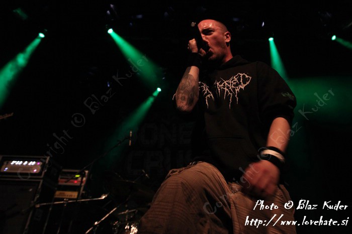 08_Ingested.jpg
