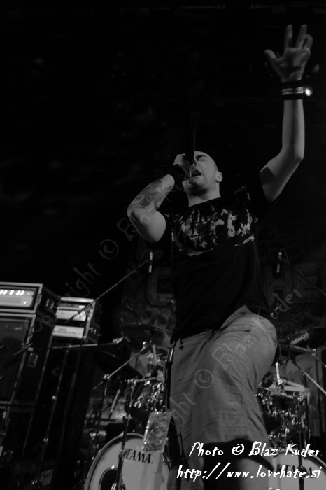 10_Ingested.jpg