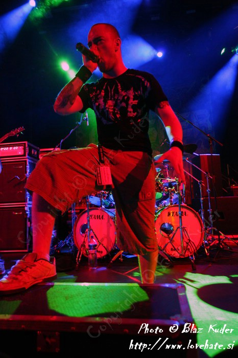 12_Ingested.jpg
