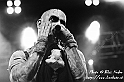 15_Primordial