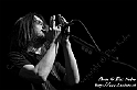 Porcupine_Tree